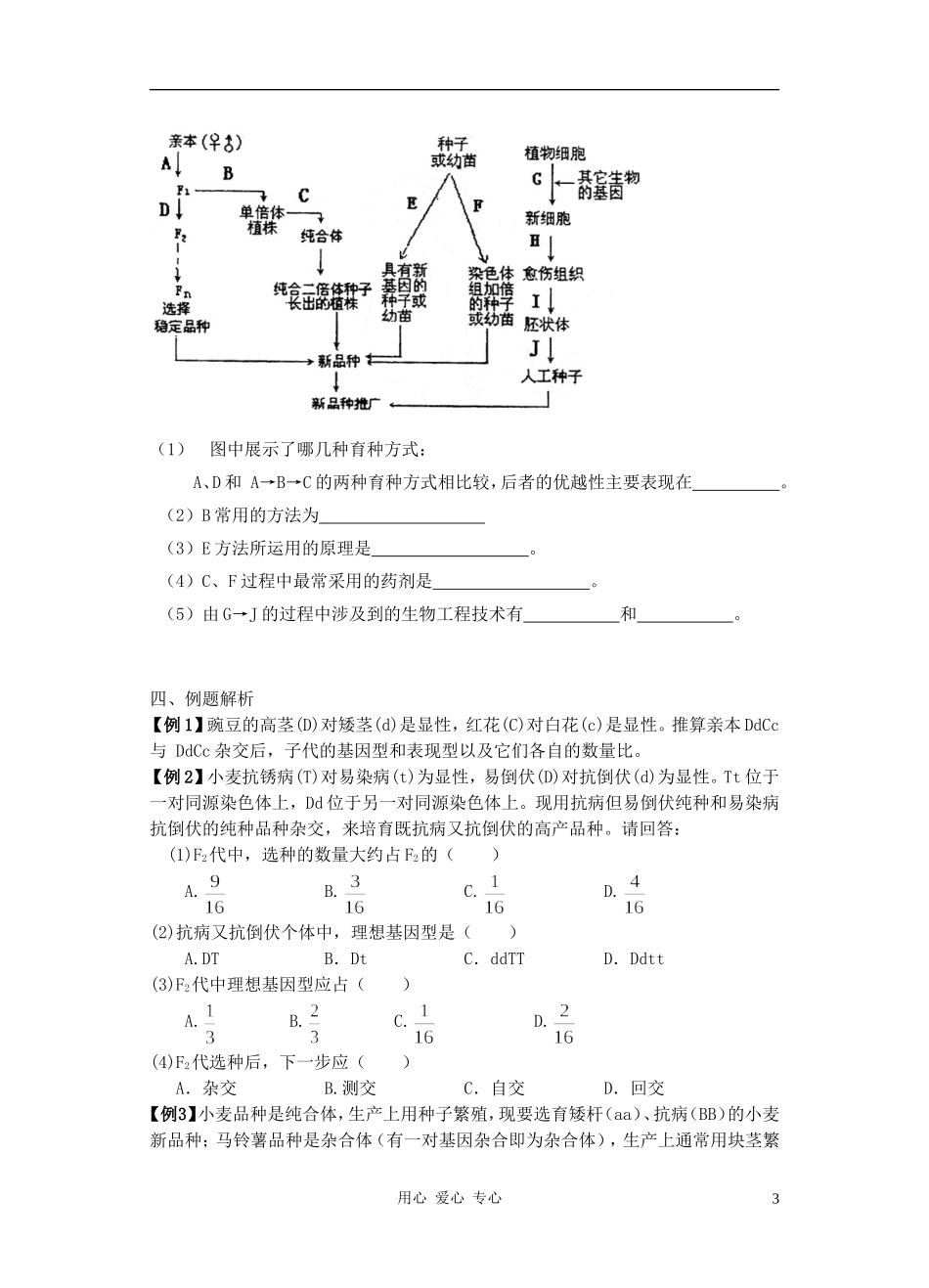 高三生物 专题八 从杂交育种到基因工程_第3页