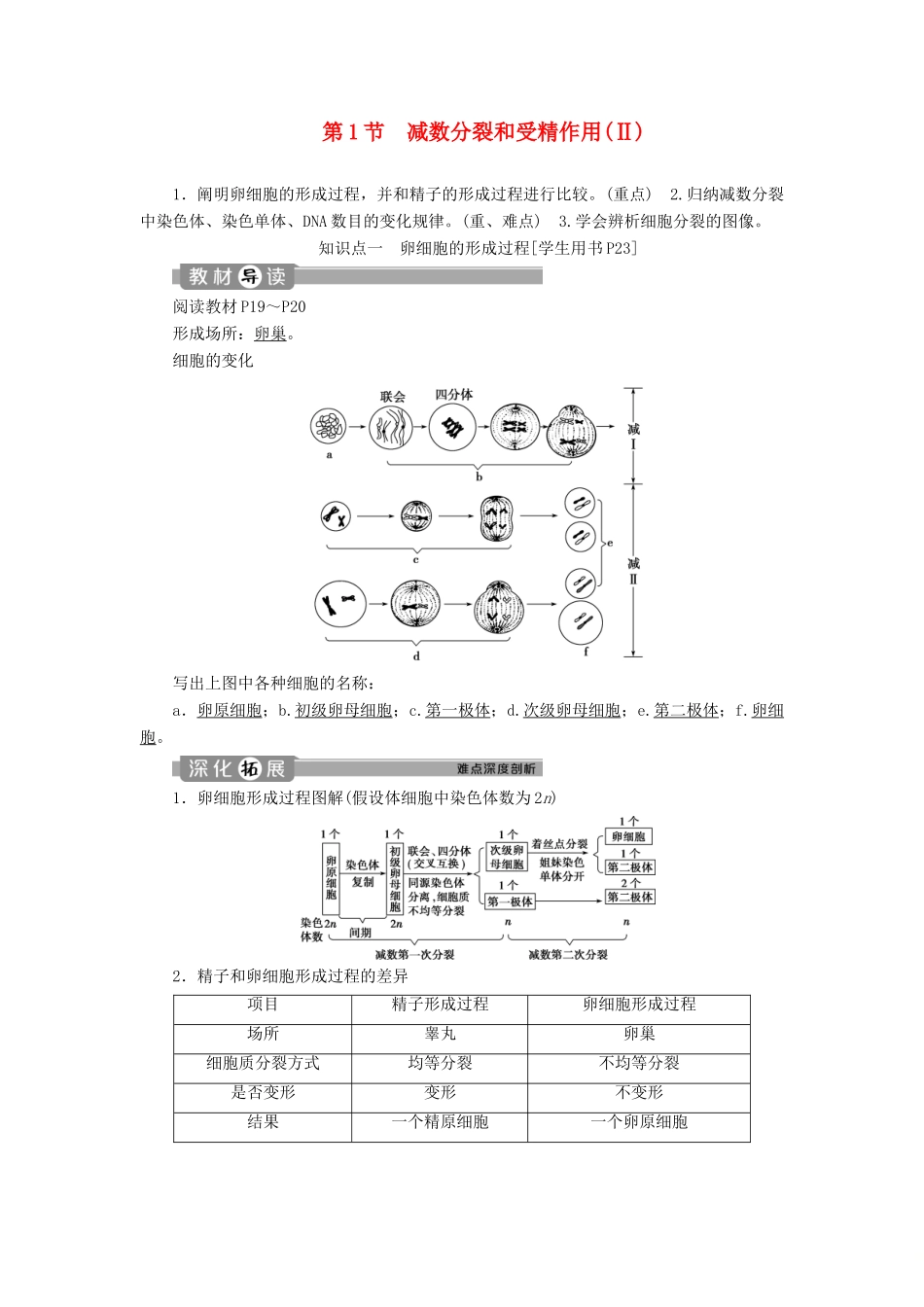 高中生物 第2章 基因和染色体的关系 第1节 减数分裂和受精作用（Ⅱ）学案 新人教版必修2-新人教版高一必修2生物学案_第1页