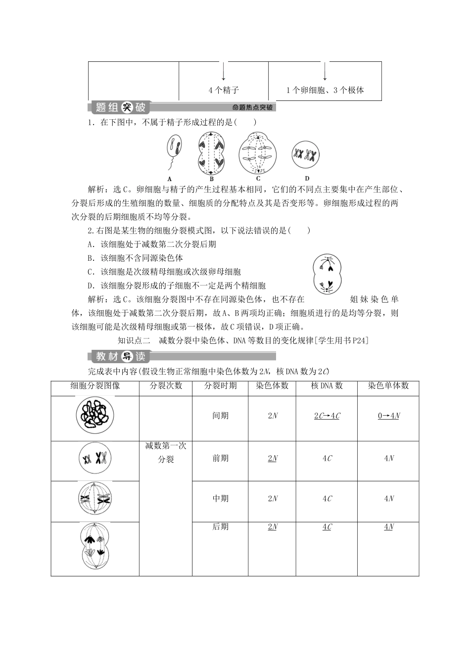 高中生物 第2章 基因和染色体的关系 第1节 减数分裂和受精作用（Ⅱ）学案 新人教版必修2-新人教版高一必修2生物学案_第2页