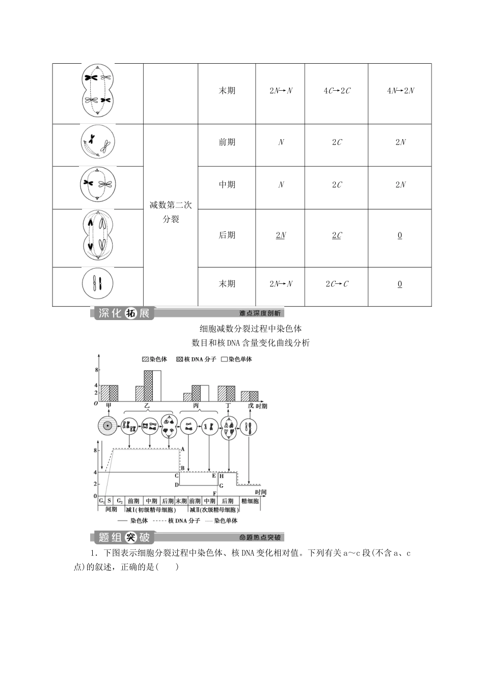 高中生物 第2章 基因和染色体的关系 第1节 减数分裂和受精作用（Ⅱ）学案 新人教版必修2-新人教版高一必修2生物学案_第3页