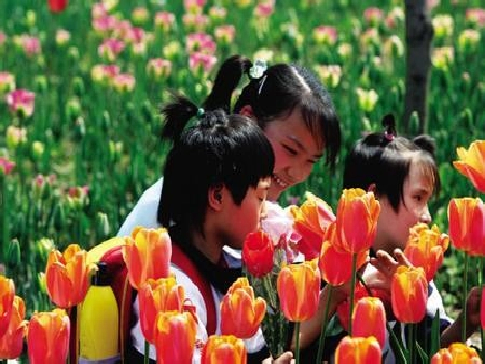 触摸春天PPT课件_第3页