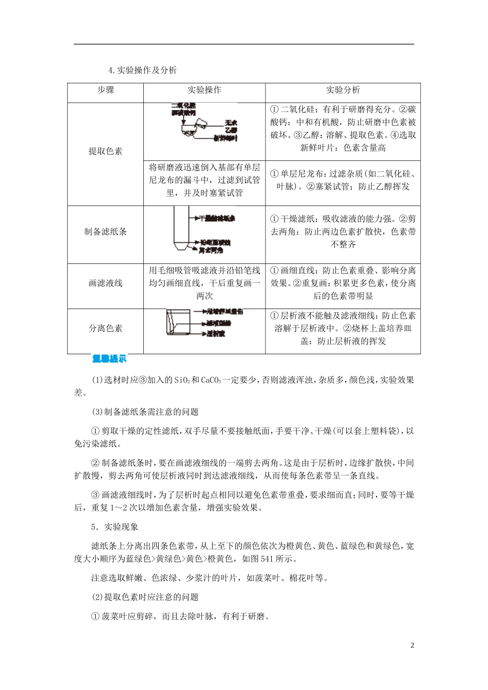 高中生物 第5章 第4节 能量之源-光与光合作用学案 新人教版必修1-新人教版高一必修1生物学案_第2页