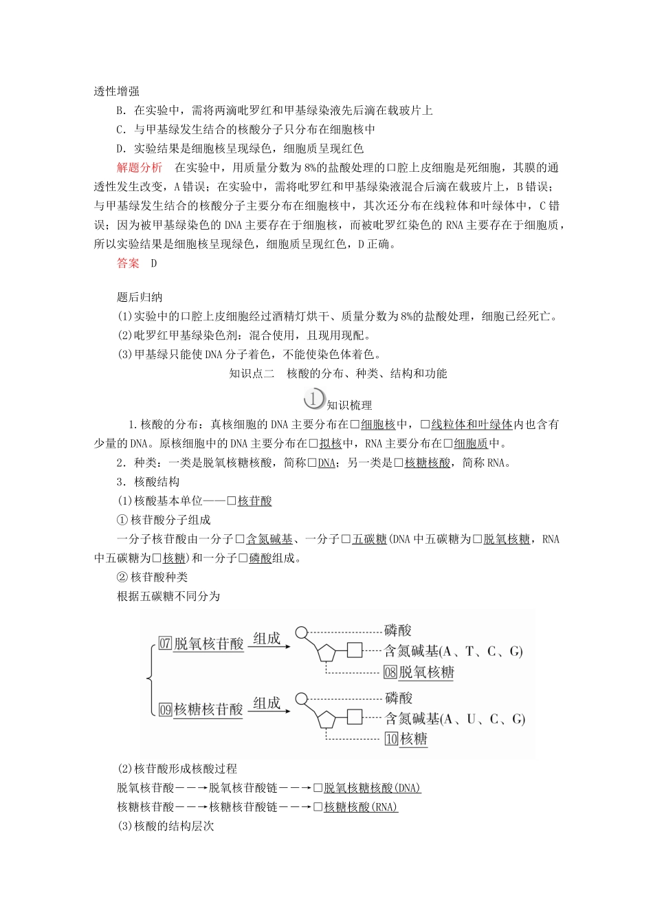 高中生物 第2章 第3节 遗传信息的携带者——核酸学案 新人教版必修1-新人教版高一必修1生物学案_第2页