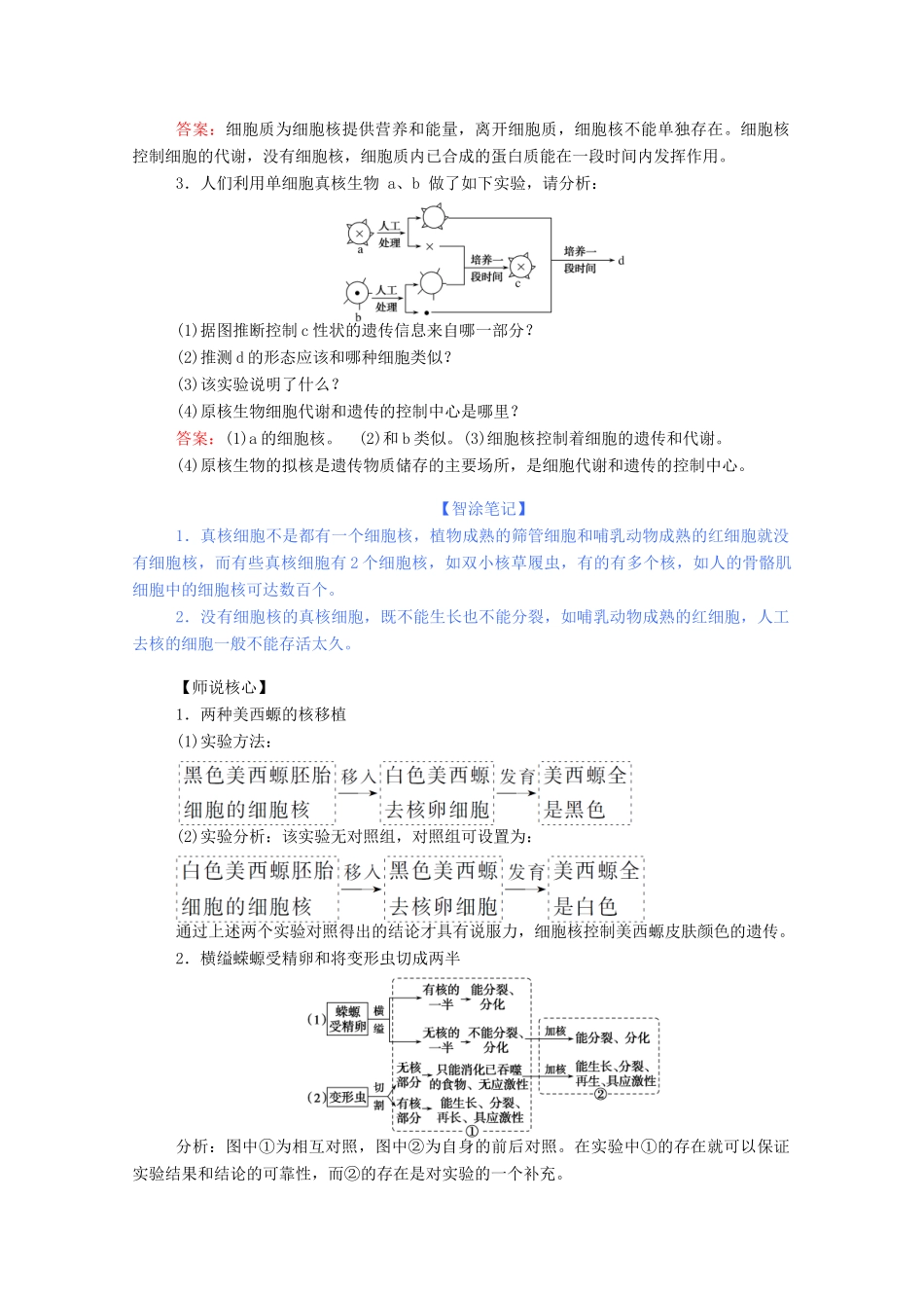 高中生物 3.3 细胞核——系统的控制中心学案 新人教版必修1-新人教版高中必修1生物学案_第3页