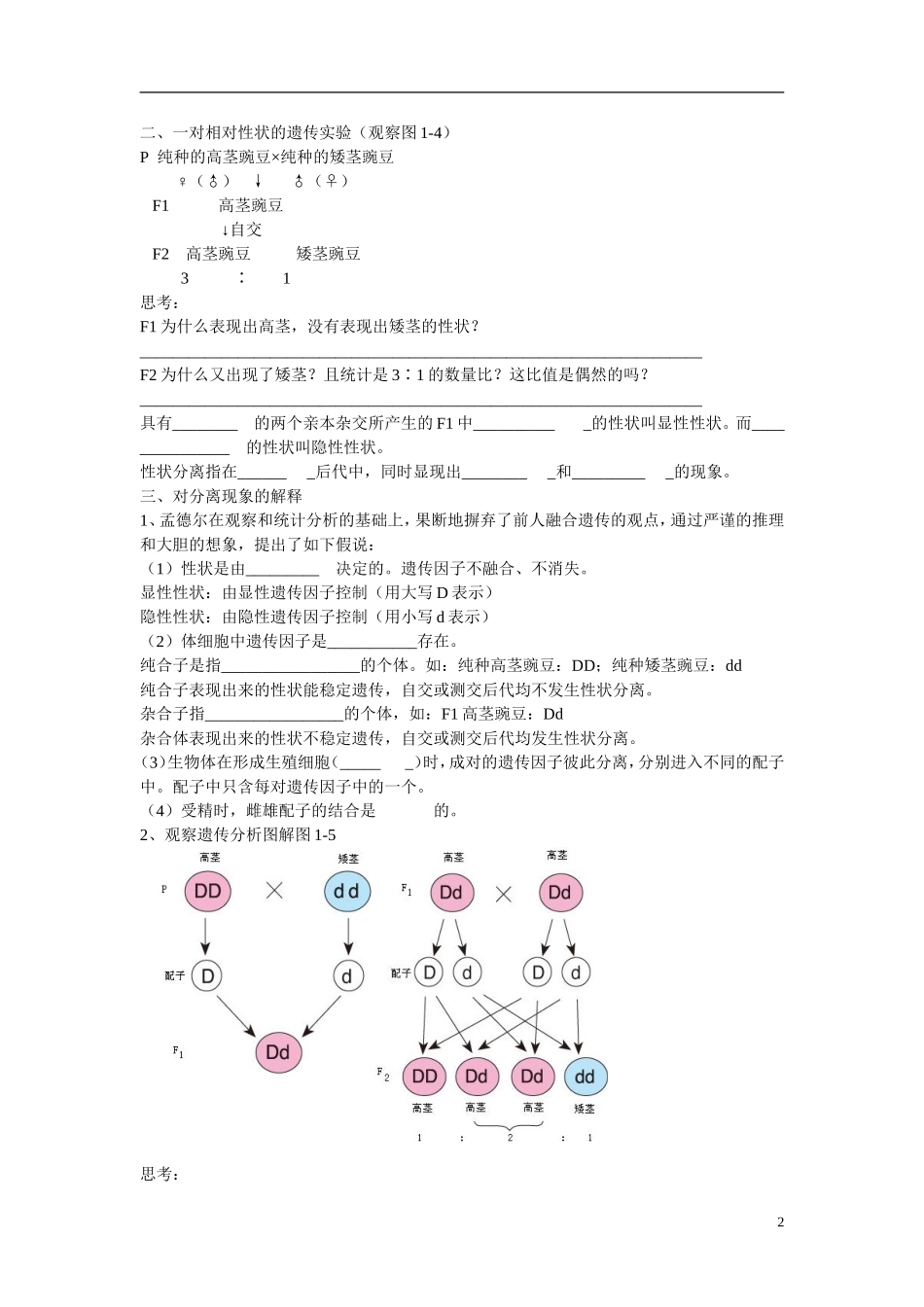 高中生物 第1章　遗传因子的发现第一节《孟德尔的豌豆杂交实验（一）》第一课时参考学案 新人教版必修2_第2页