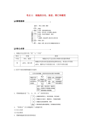 （江苏专用）高考生物二轮复习 专题三 细胞的生命历程 考点11 细胞的分化、衰老、凋亡和癌变学案-人教版高三全册生物学案