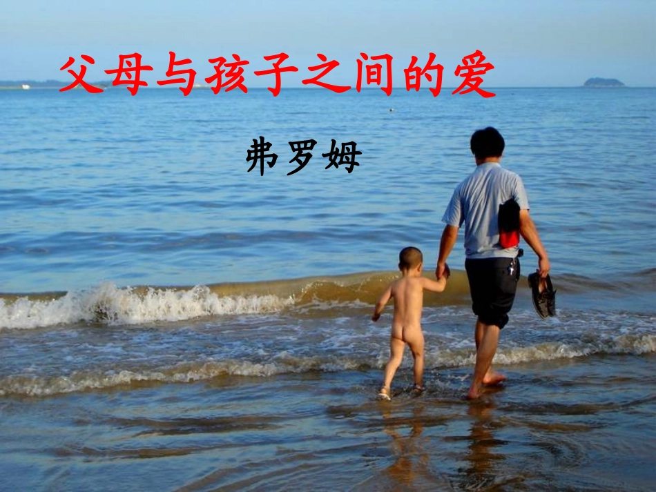 《父母与孩子之间的爱》_第2页