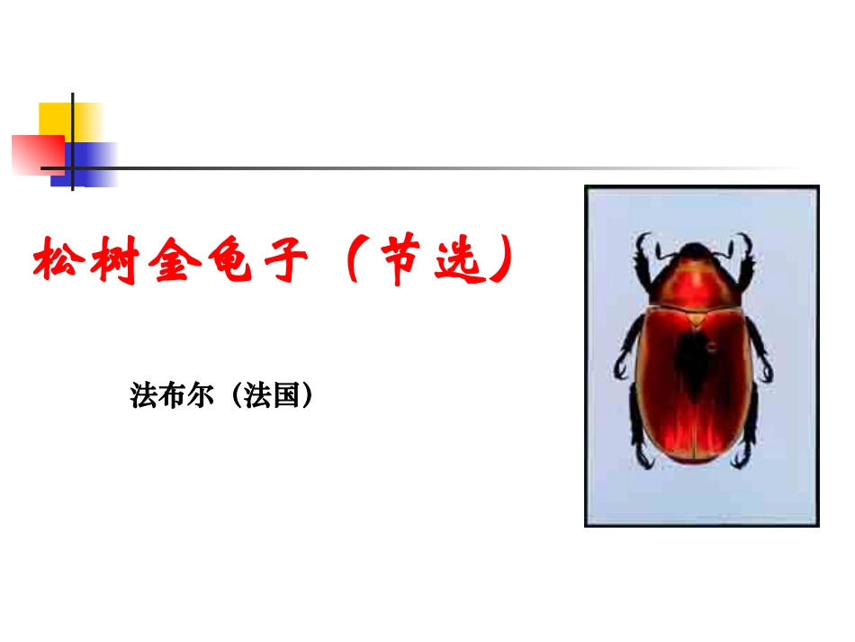 （苏教版）七年级下《松树金龟子》（二）_第2页