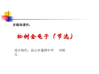（苏教版）七年级下《松树金龟子》（二）