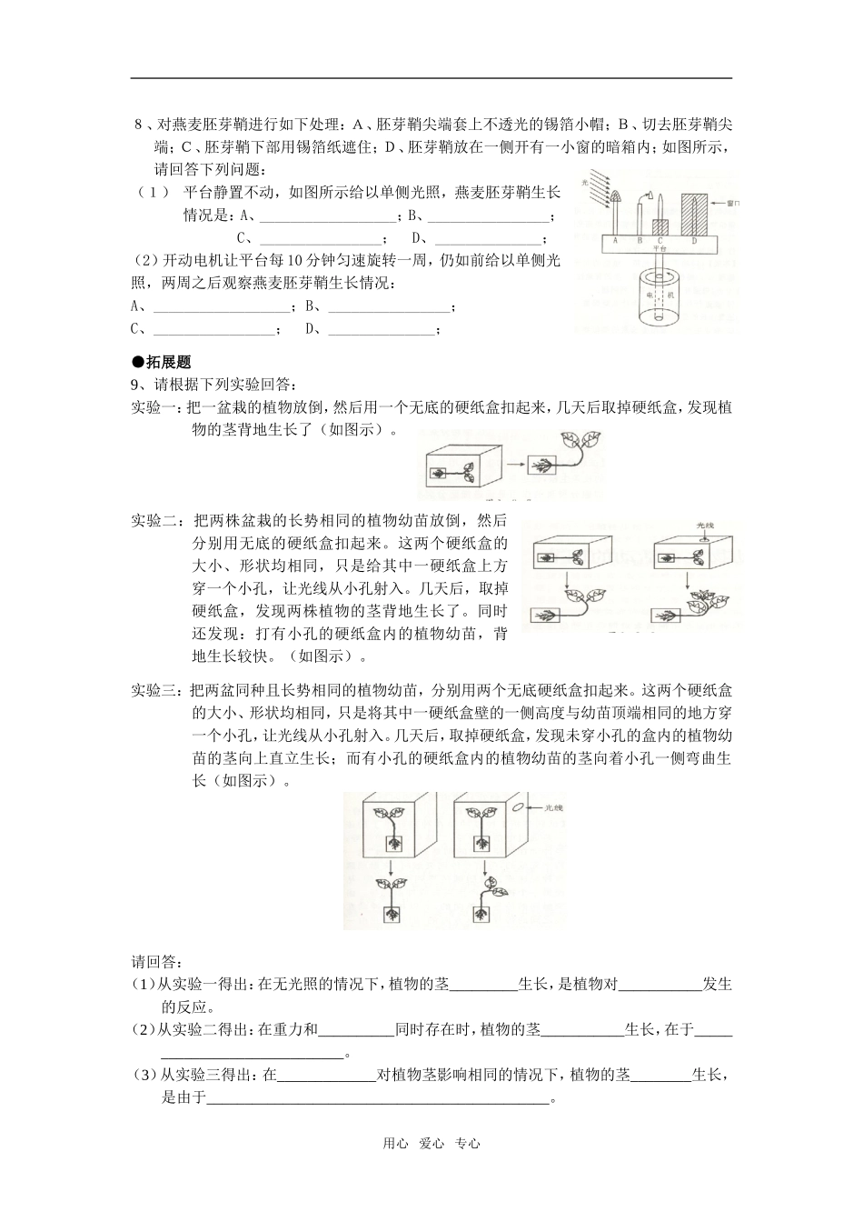 3.1植物生长素的发现_第3页