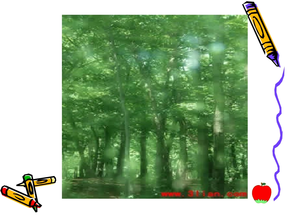 “红领巾”真好_第1页