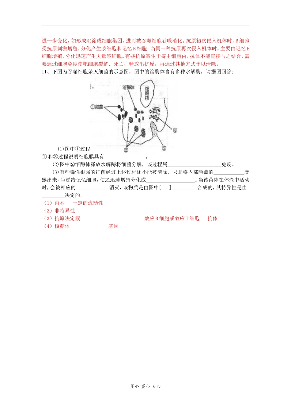 高中生物 5.4《动物体的细胞识别和免疫》学案（2） 沪科版第二册_第3页