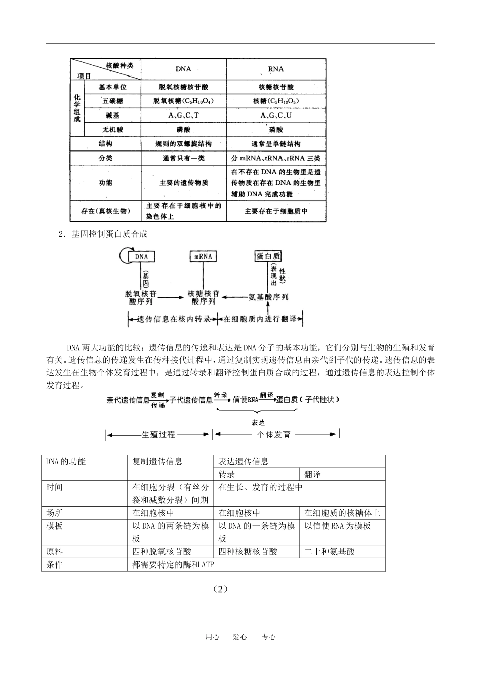 4.1基因指导蛋白质的合成_第2页
