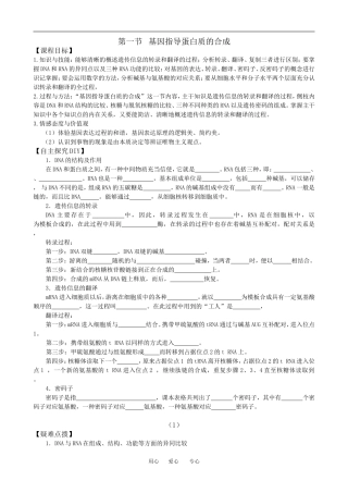 4.1基因指导蛋白质的合成