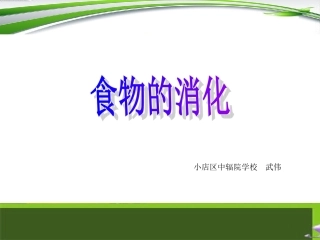 食物的消化中辐院武伟
