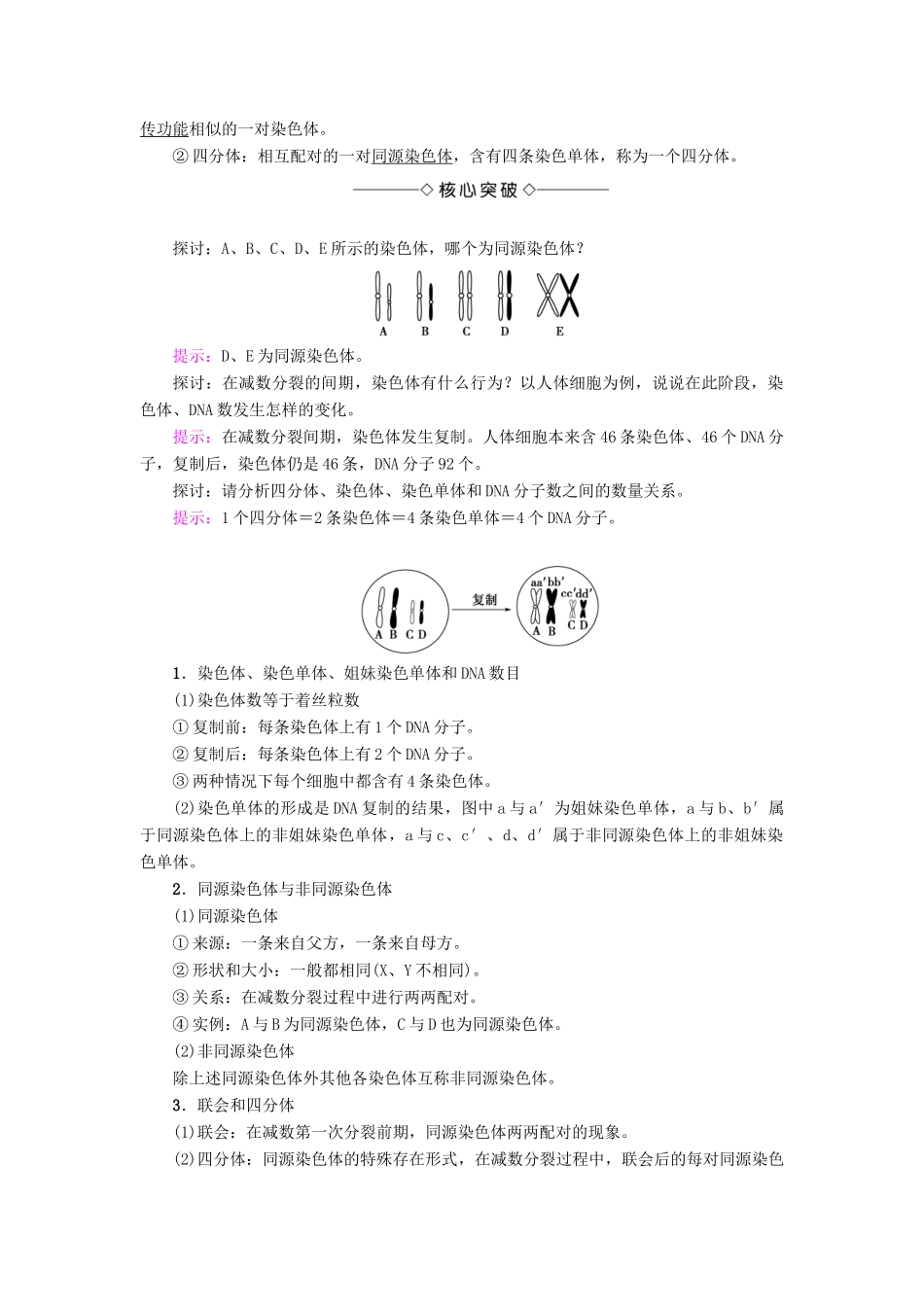 高中生物 第2章 染色体与遗传 第1节 减数分裂中的染色体行为（Ⅰ）学案 浙科版必修2-浙科版高一必修2生物学案_第2页
