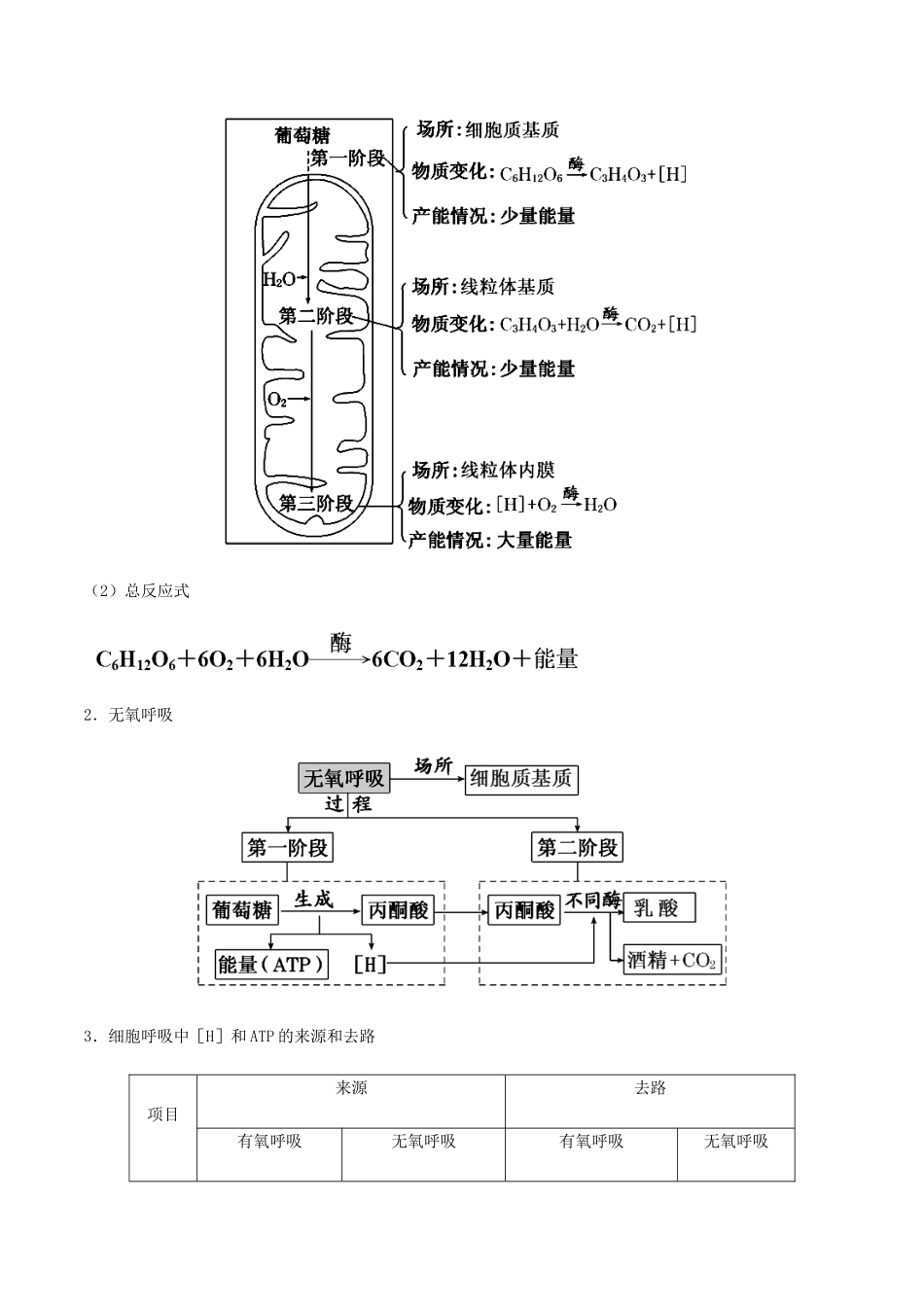 （全国通用）高考生物总复习《细胞呼吸》专题突破学案-人教版高三全册生物学案_第2页