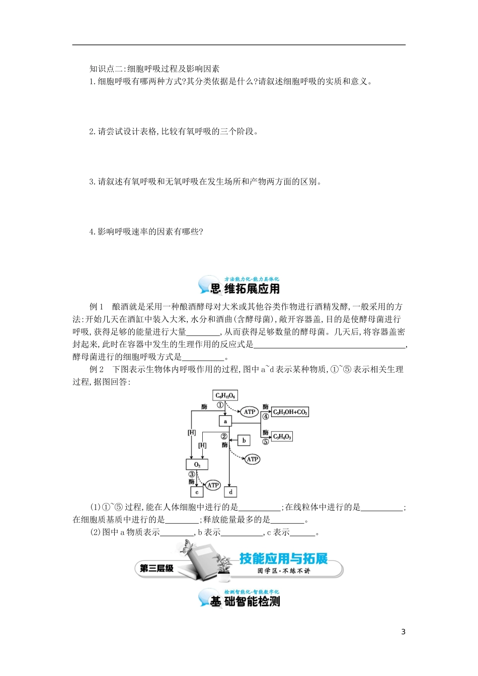 高中生物 第5章 第3节 ATP的主要来源-细胞呼吸导学案 新人教版必修1-新人教版高一必修1生物学案_第3页