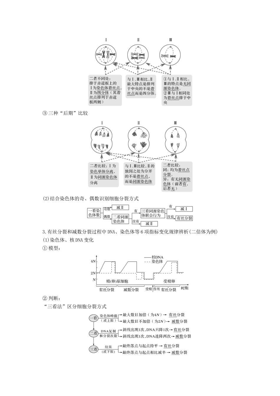（江苏专用）新高考生物 第四单元 细胞的生命历程 考点加强课2 减数分裂与有丝分裂的比较及减数分裂与可遗传变异的关系学案-人教版高三全册生物学案_第2页