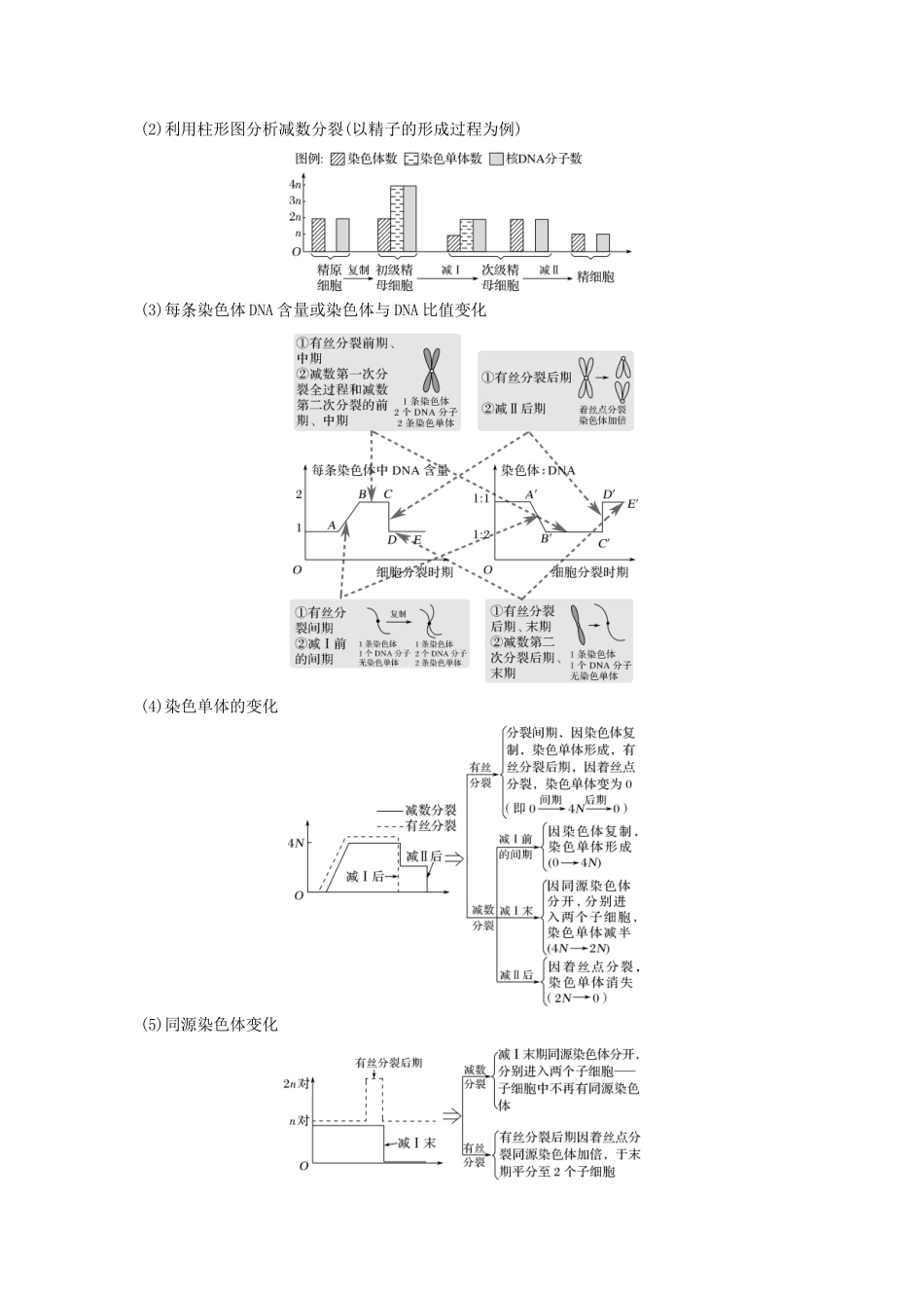 （江苏专用）新高考生物 第四单元 细胞的生命历程 考点加强课2 减数分裂与有丝分裂的比较及减数分裂与可遗传变异的关系学案-人教版高三全册生物学案_第3页