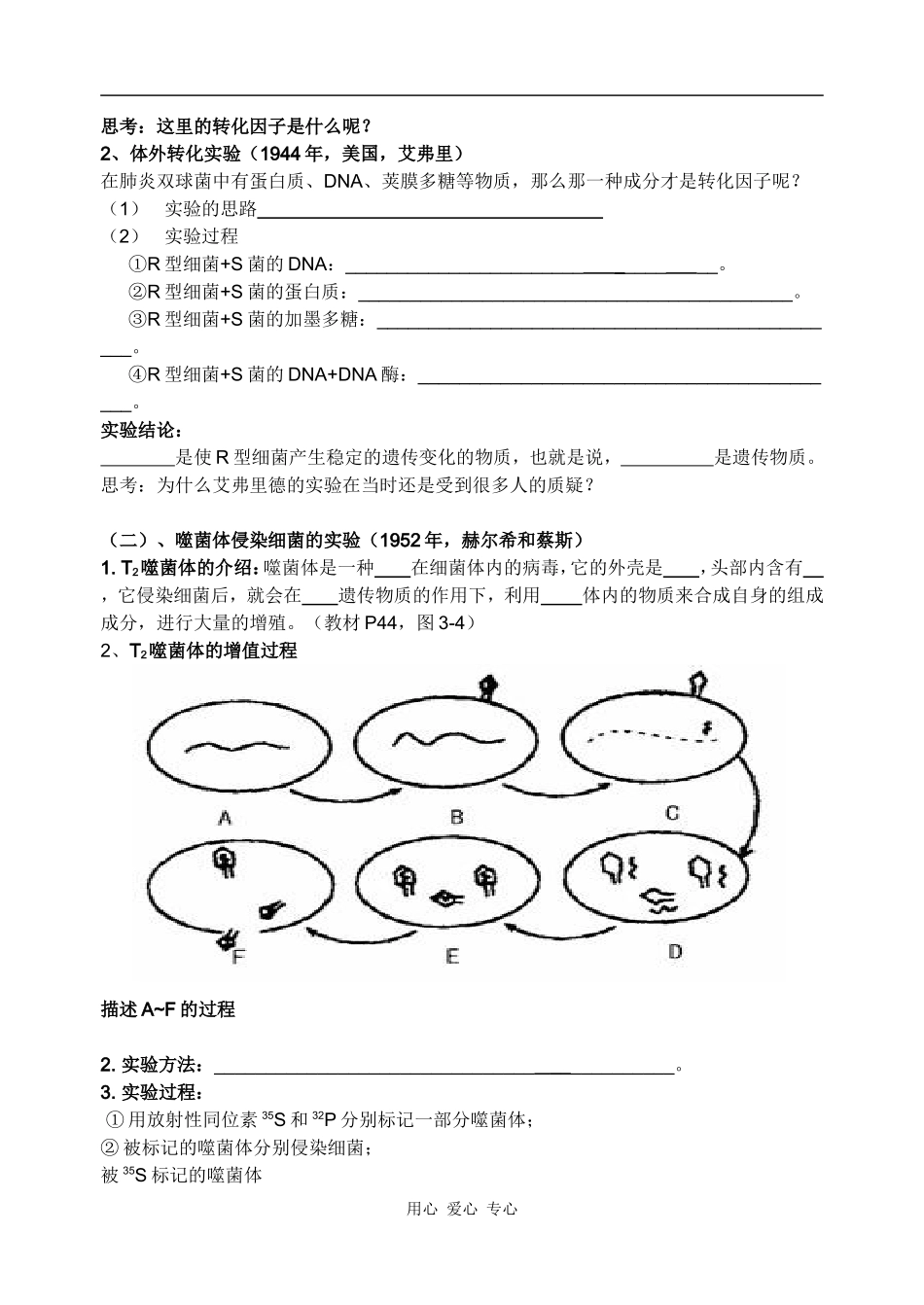 高三一轮复习导学案：DNA是主要的遗传物质_第2页