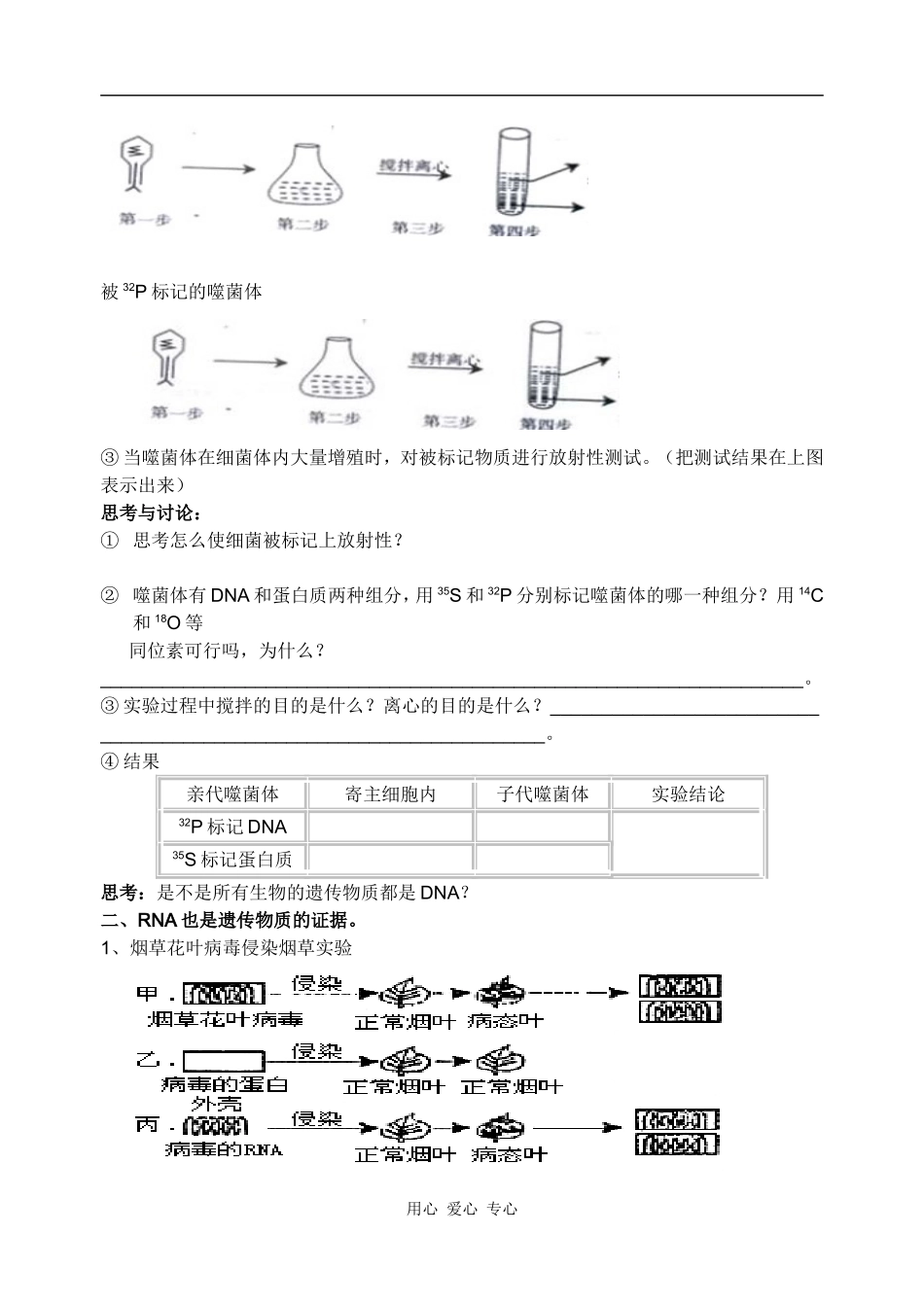高三一轮复习导学案：DNA是主要的遗传物质_第3页