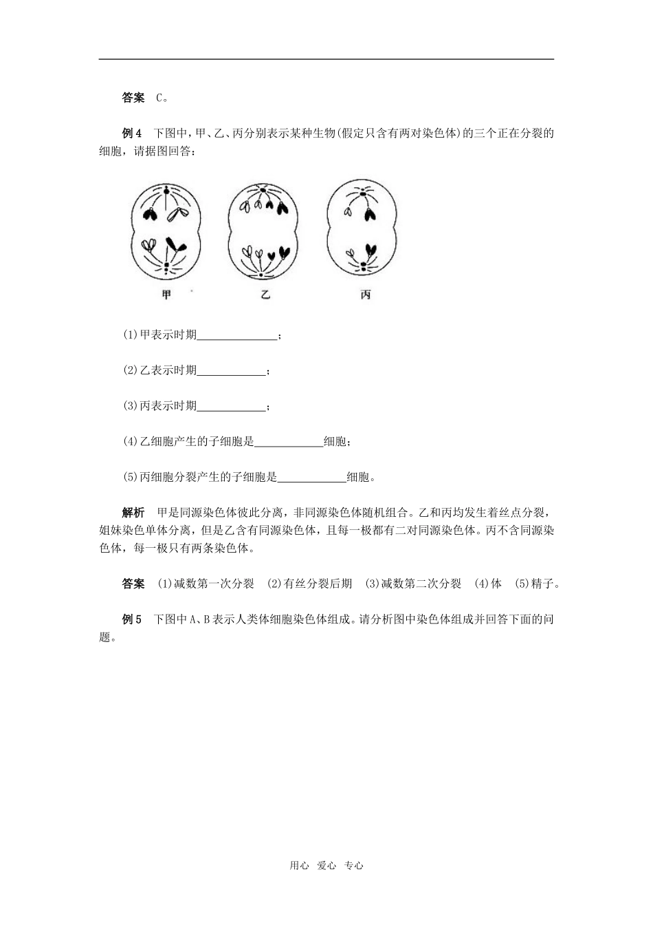 第2章　基因和染色体的关系　例题分析_第2页