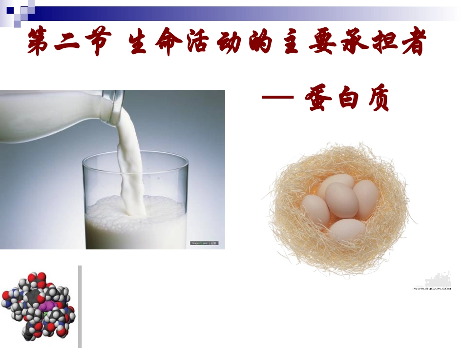 第二章第二节生命活动的主要承担者--蛋白质_第1页