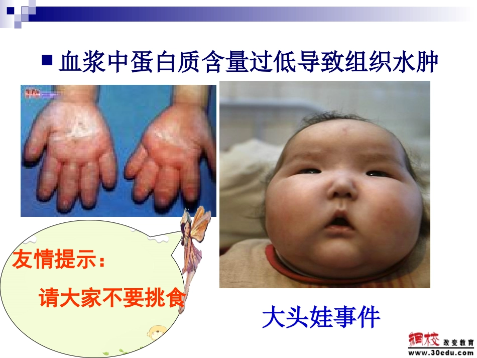 第二章第二节生命活动的主要承担者--蛋白质_第3页