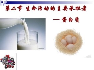 第二章第二节生命活动的主要承担者--蛋白质