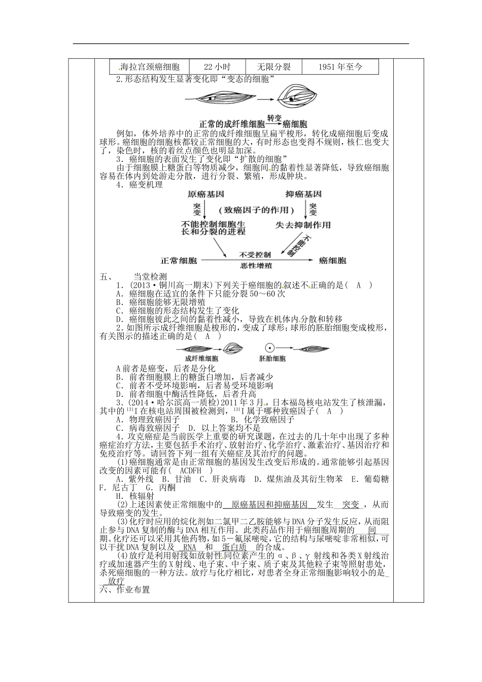 高中生物 6.4细胞的癌变导学案 新人教版必修1-新人教版高一必修1生物学案_第2页