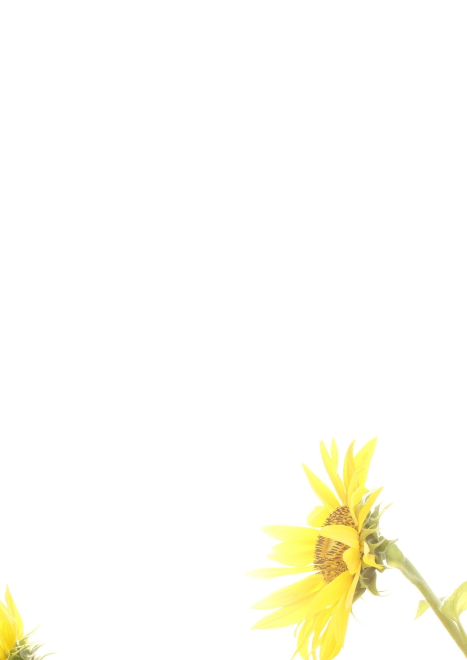 搭配中的学问教学反思_第3页