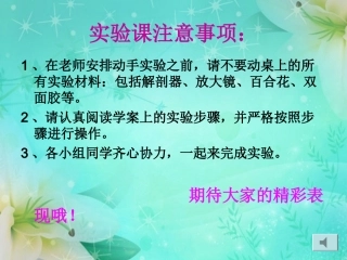 开花和结果课件