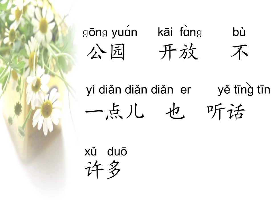 苏教版一年级《看菊花》课件_第3页