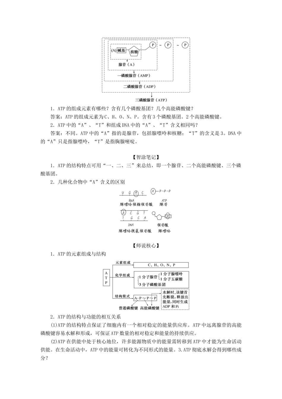 高中生物 5.2 细胞的能量“货币”ATP学案 新人教版必修1-新人教版高中必修1生物学案_第3页