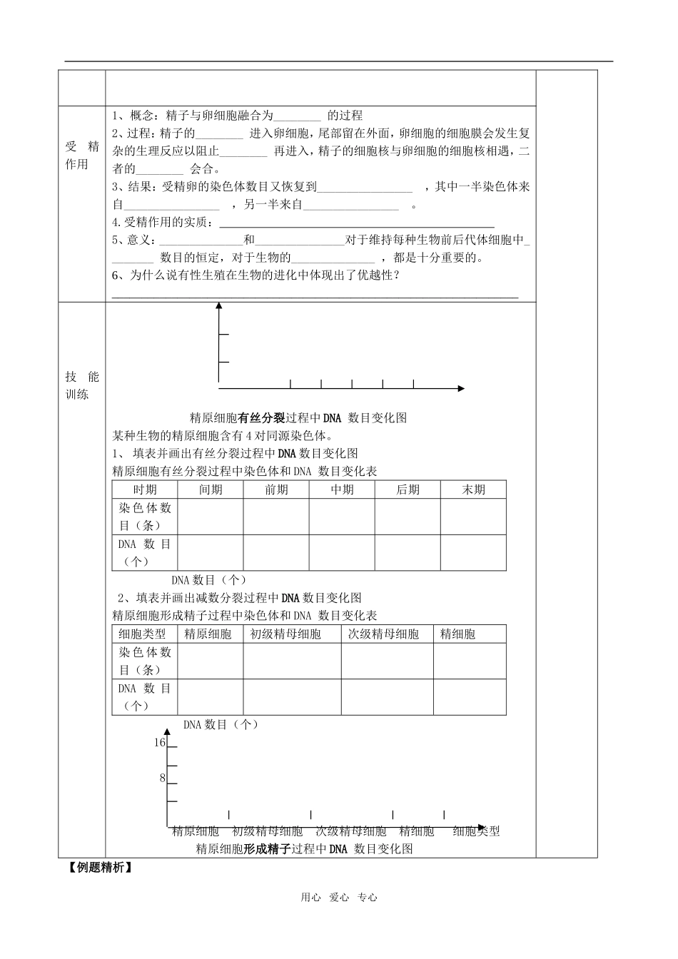 2.1.1减数分裂02_第2页