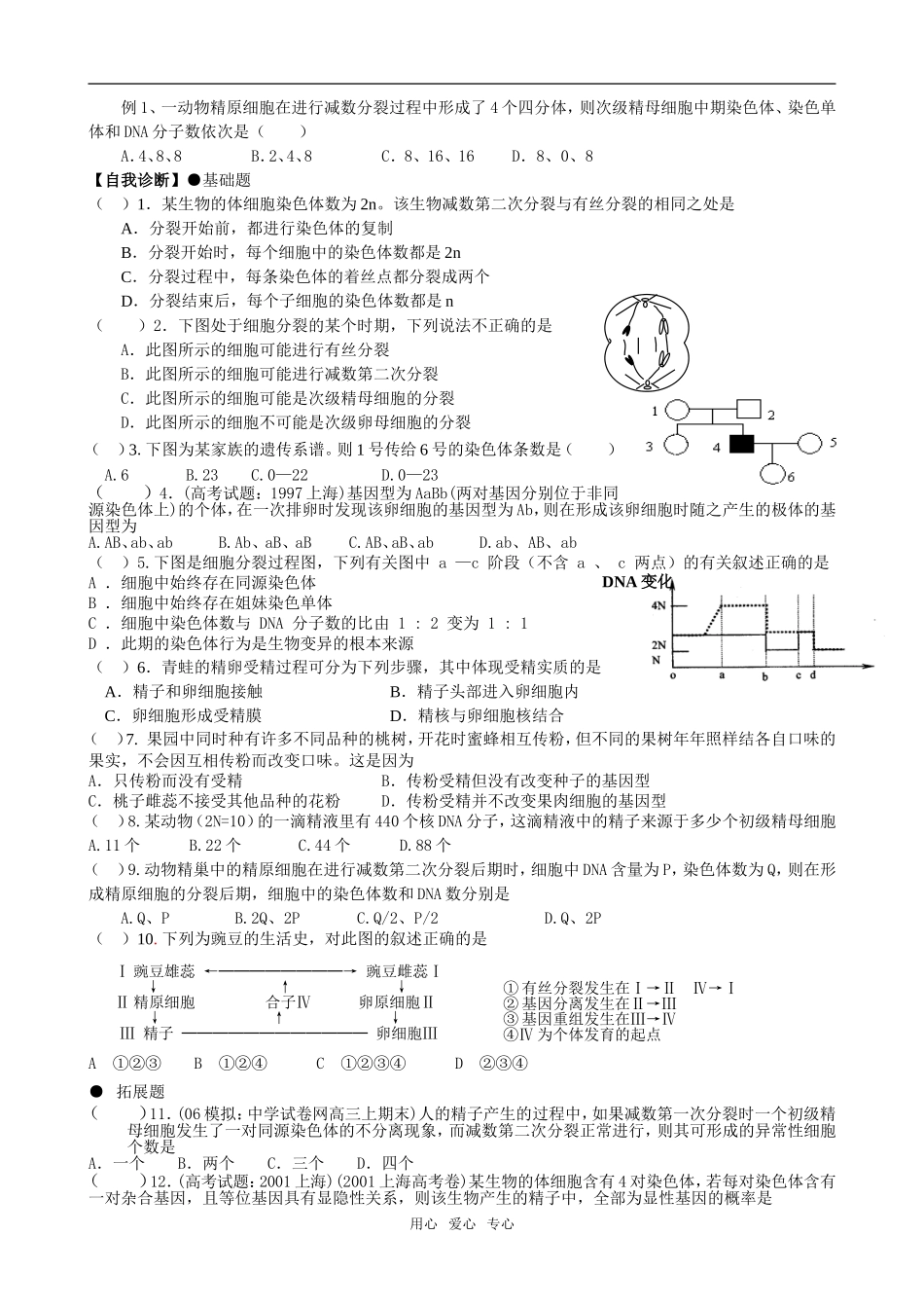2.1.1减数分裂02_第3页