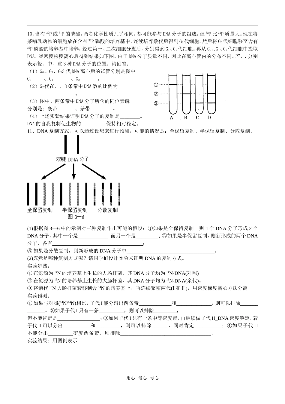3.3  第2节   DNA分子的复制09_第3页