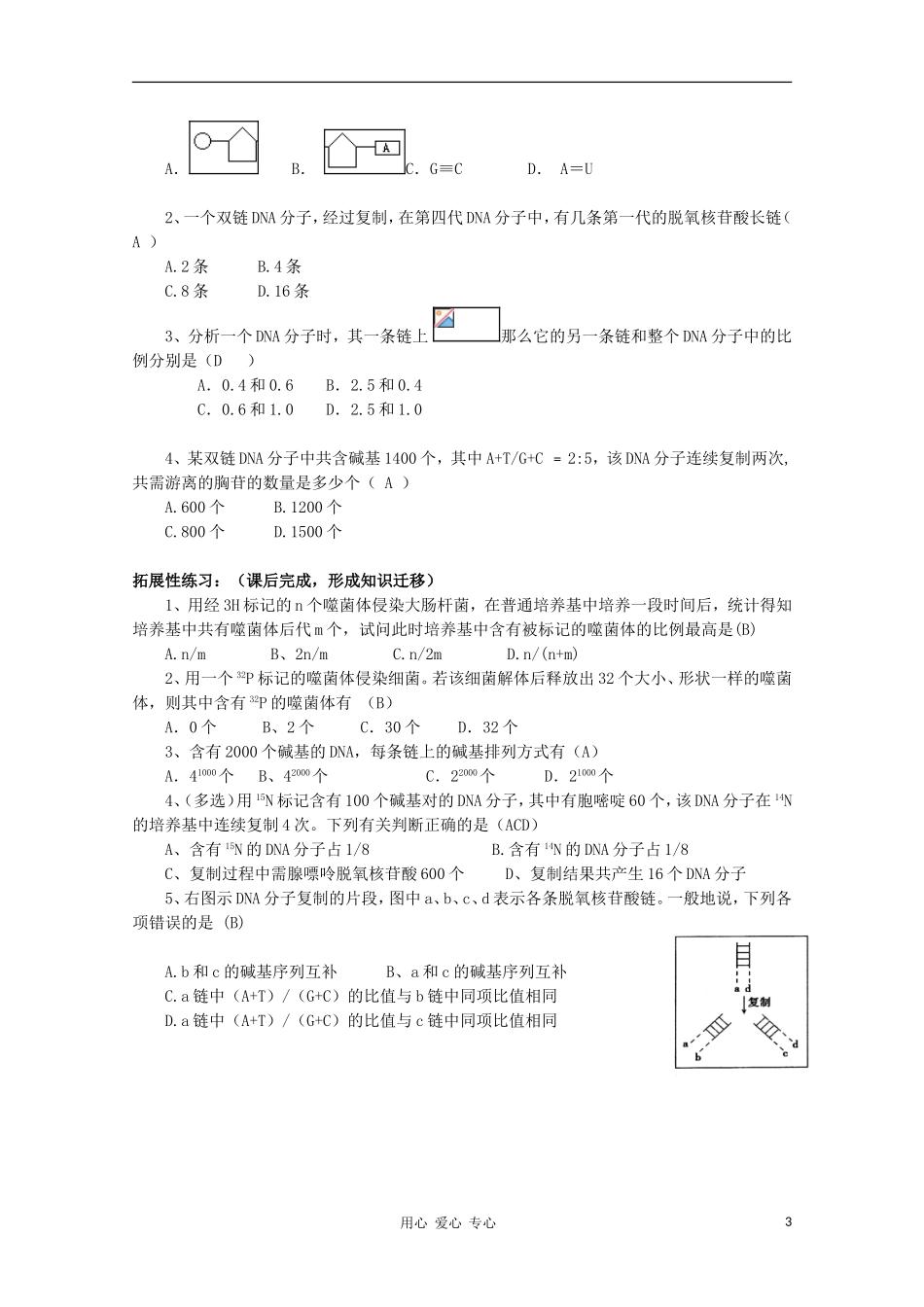 高中生物 6.2《DNA复制和蛋白质合成》学案（2） 沪科版第二册_第3页