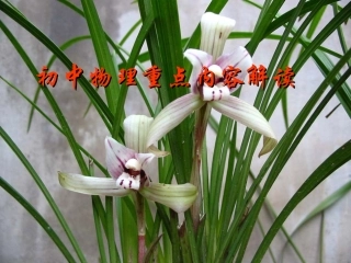 初中物理重点内容解读