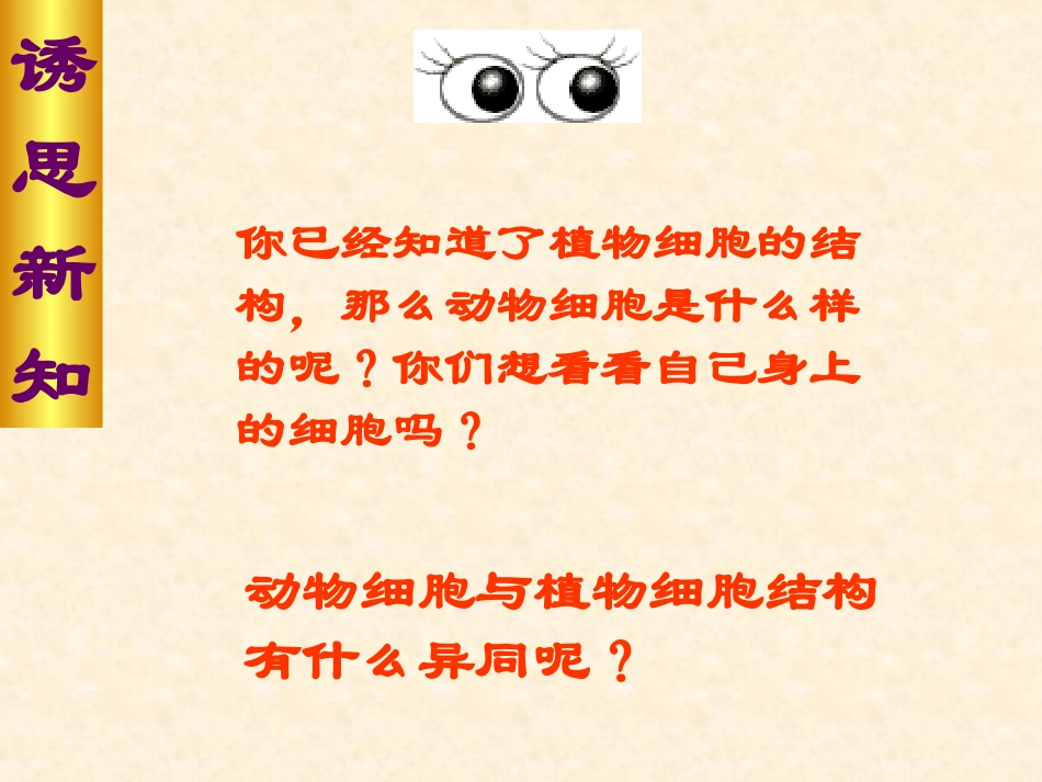 动物细胞课件新人教版_第3页