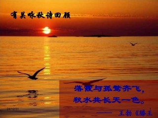 《故都的秋》课件