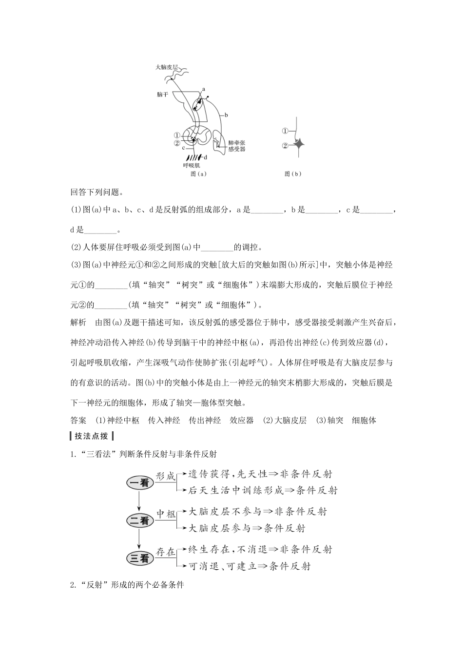 高考生物一轮复习 第八单元 生命活动的调节 第24讲 神经调节学案-人教版高三全册生物学案_第3页