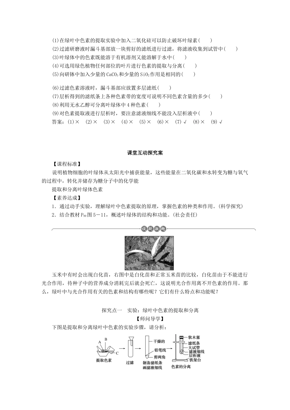 高中生物 5.4.1 捕获光能的色素和结构学案 新人教版必修1-新人教版高中必修1生物学案_第3页