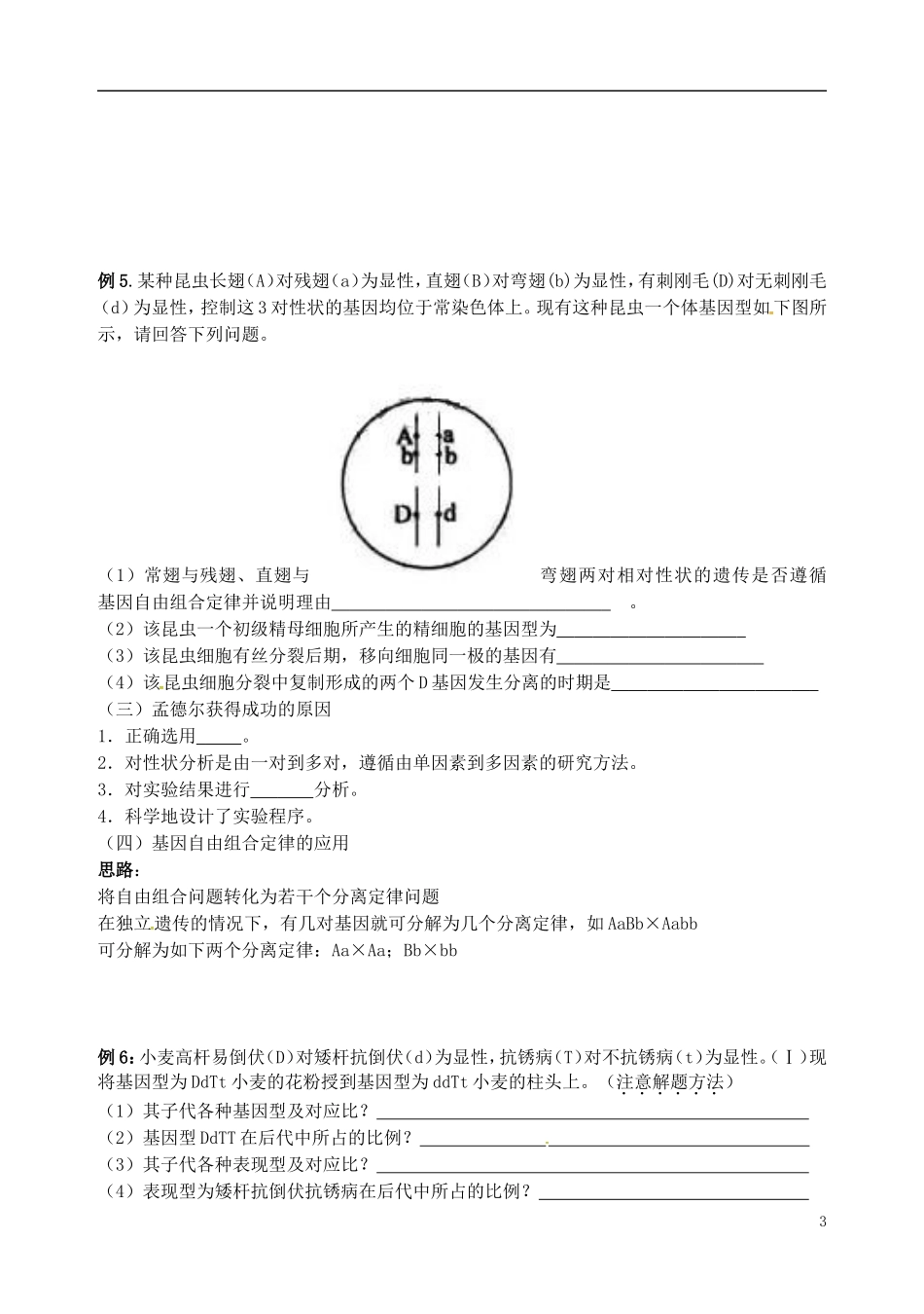 高中生物 5.1 基因的自由组合定律学案 新人教版必修2-新人教版高一必修2生物学案_第3页