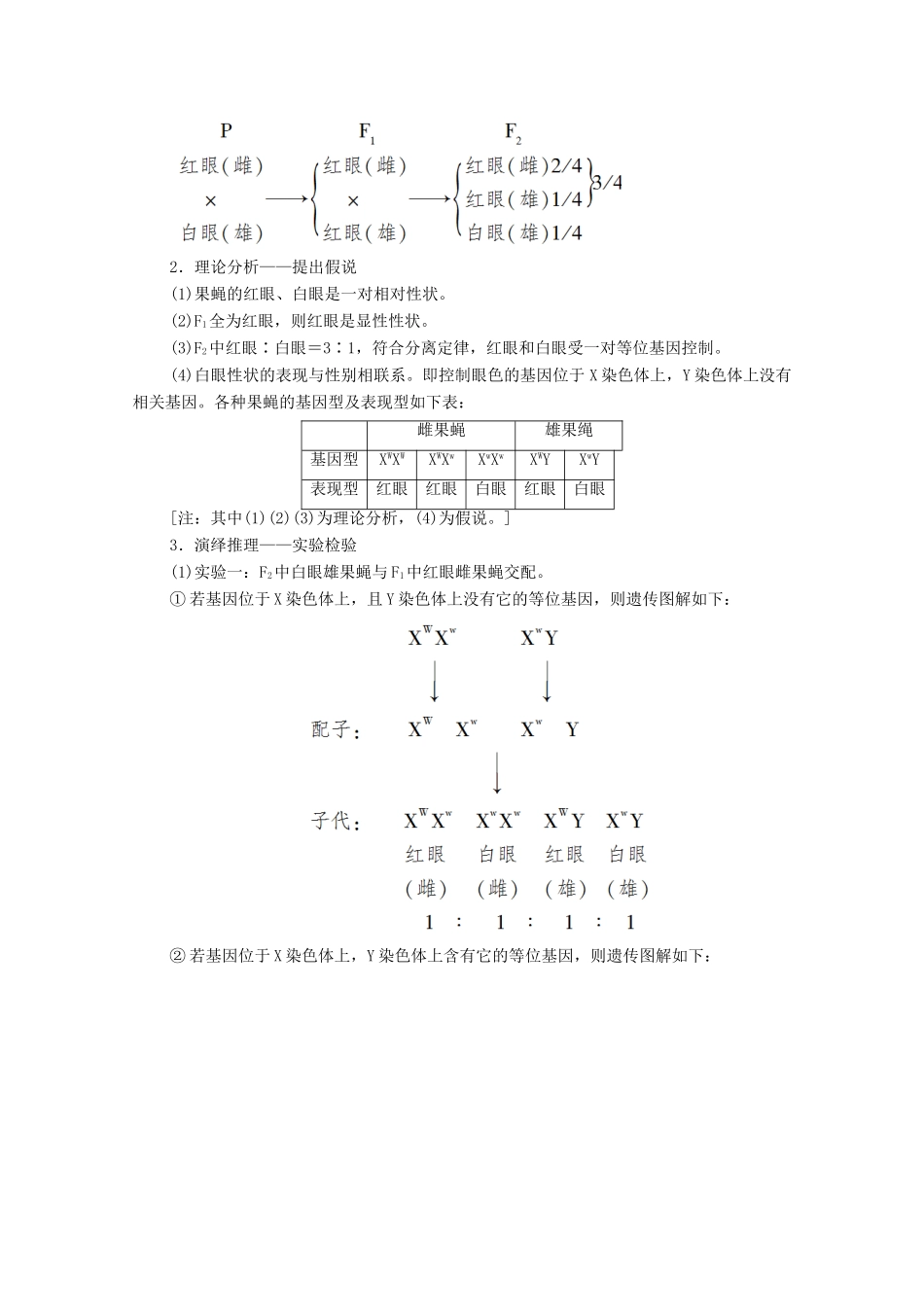 高中生物 第2章 基因和染色体的关系 第2节 基因在染色体上学案 新人教版必修2-新人教版高中必修2生物学案_第3页