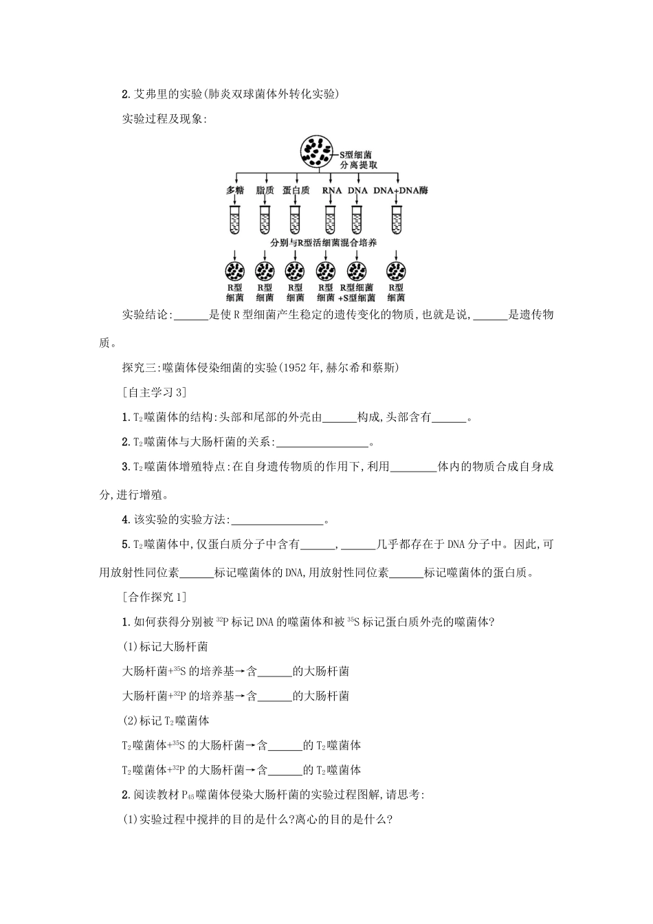高中生物 3.1 DNA是主要的遗传物质学案设计 新人教版必修2-新人教版高一必修2生物学案_第2页