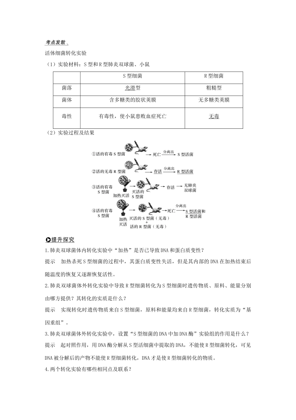 （浙江选考）高考生物一轮复习 第14讲 核酸是遗传物质的证据学案-人教版高三全册生物学案_第3页
