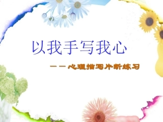 以我手写我心