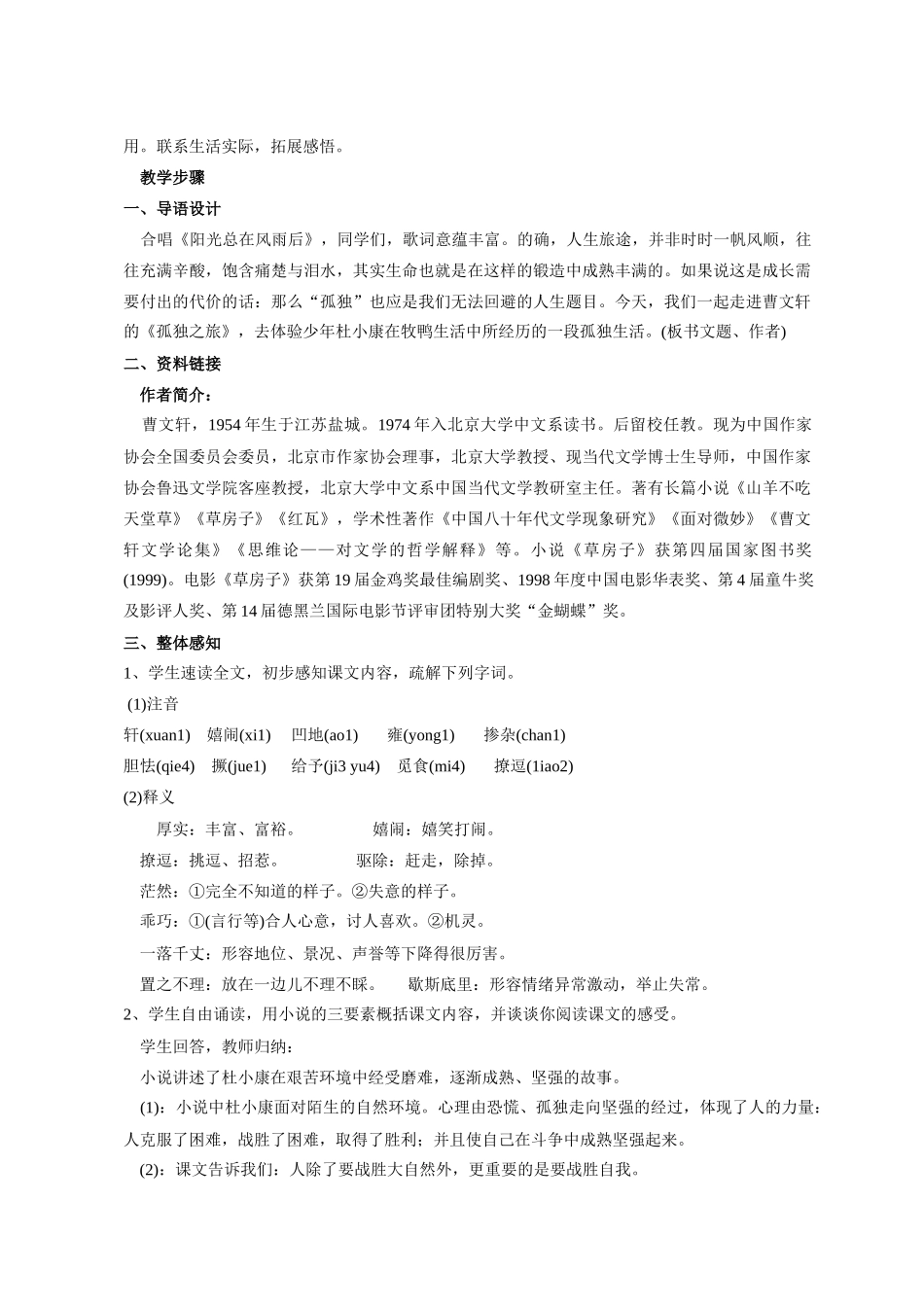 九年级语文10 孤独之旅3 教案人教版_第2页